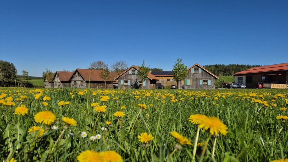 Urlaub auf dem Bauernhof in der Oberpfalz bietet naturnahe Erlebnisse, ist oft preisgünstiger als Hotels und fördert Nachhaltigkeit. Familien und Naturliebhaber schätzen vor allem die authentischen Angebote und den direkten Kontakt zur Natur.