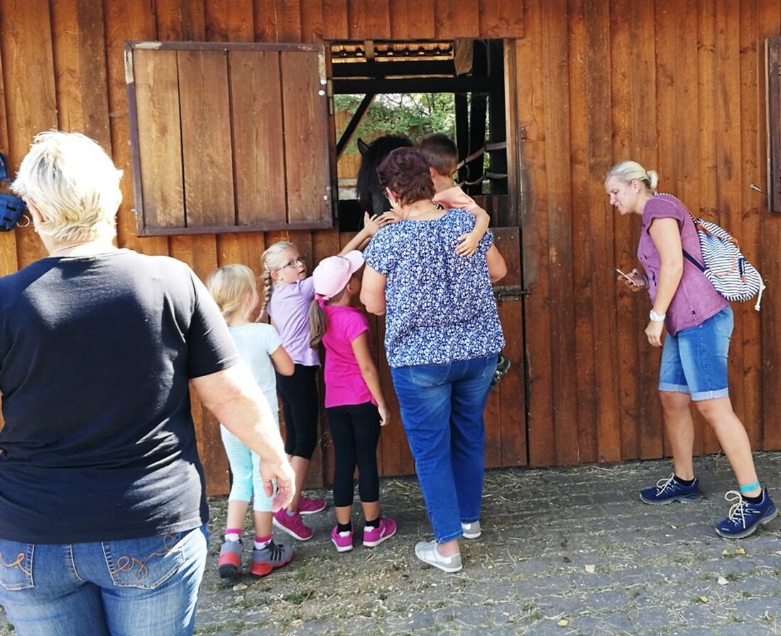 Püchersreuth/Wurz. Im Rahmen des Ferienprogramms organisierte der SPD-Ortsverein Püchersreuth einen absolut gelungenen Nachmittag nach Wurz zum Islandpferdegestüt Lipperthof. Von Tom Kreuzer 34 Kinder mit ihren Eltern genossen eine hervorragende und [&hellip;]