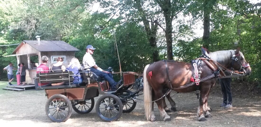 Döllnitz. Kutschfahrten waren DER Renner auf dem Dorffest in Döllnitz. Das hatte die Feuerwehr organisiert.  Von Sieglinde Schärtl  Das fünfte Dorffest der Feuerwehr Döllnitz in Folge war abermals ein großer [&hellip;]