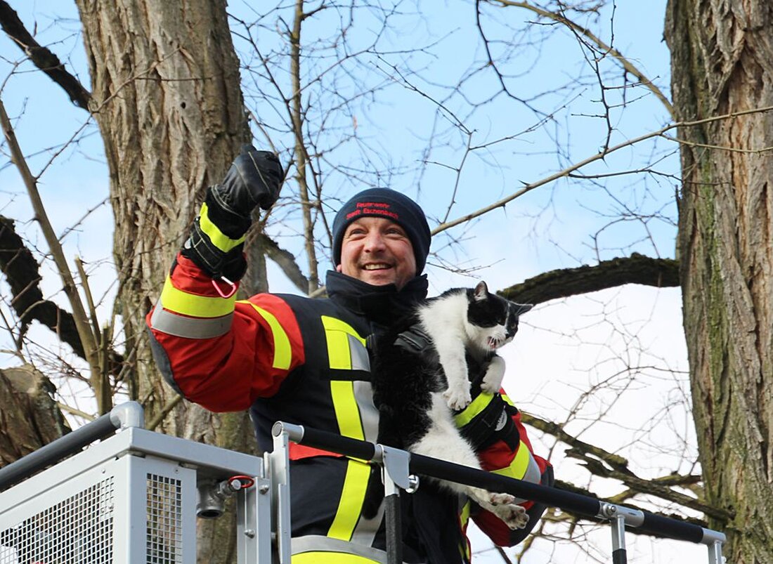 Eschenbach. Eine Katze hat in Eschenbach einen Rettungseinsatz der Feuerwehr ausgelöst. Der Stubentiger saß auf einem Baum fest.  Wie lange die schwarz-weiße Katze bereits bei -10 Grad auf dem Baum [&hellip;]
