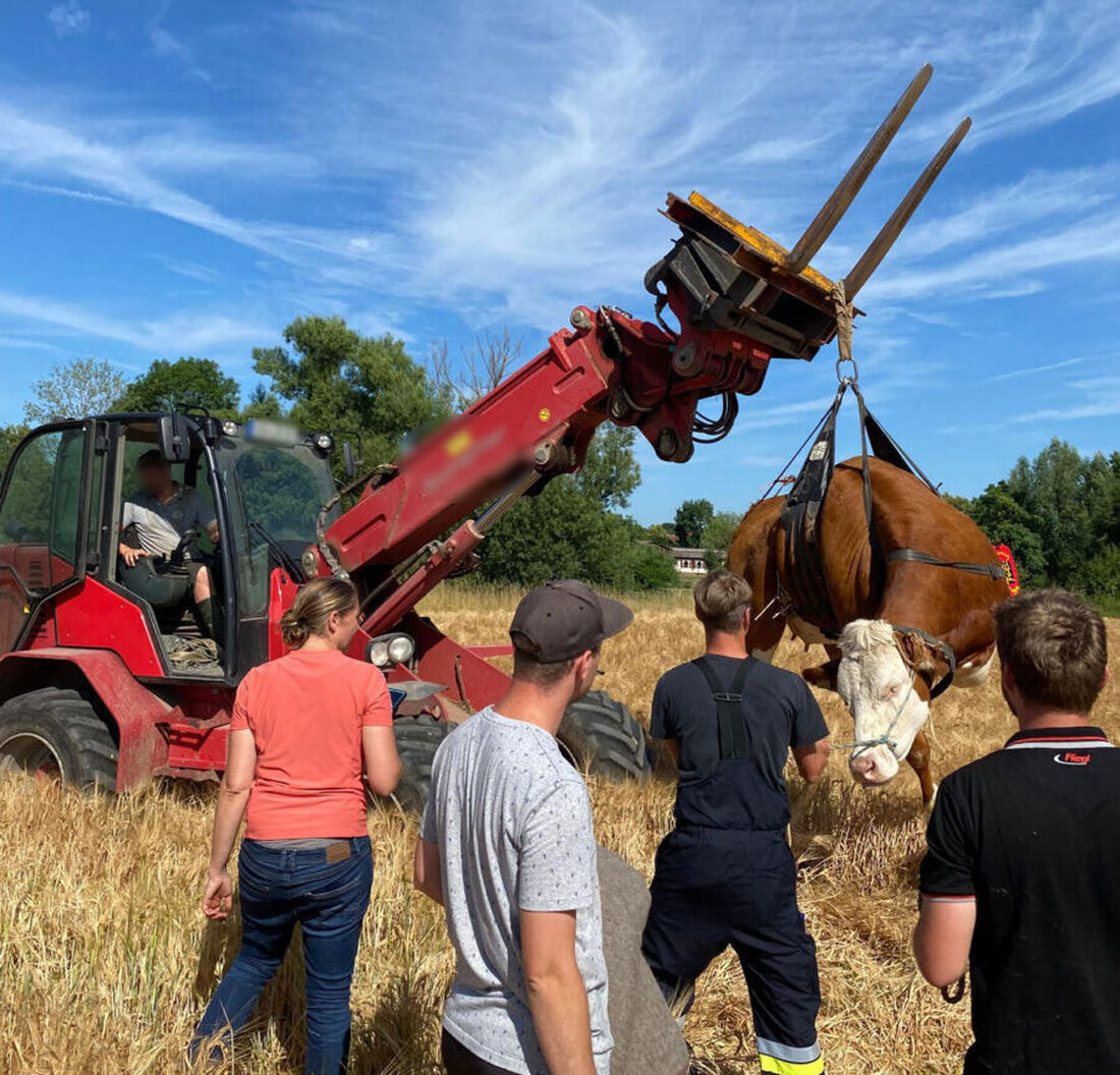 Hahnbach. Die Freiwillige Feuerwehr Hahnbach half einem Landwirt, eine entlaufene Kuh zu fangen. Der Einsatz dauerte drei Stunden, ohne dass es zu Verletzungen oder größeren Sachschäden kam.