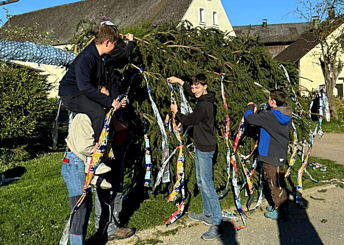 Mallersricht. Die Feuerwehr stellte am Dorfweiher den 31 Meter hohen Maibaum in nur fünf Minuten auf – zum 44. Mal. Viele halfen mit, die Löschteufel wachten nachts, der Posaunenchor sorgte für den feierlichen Rahmen.