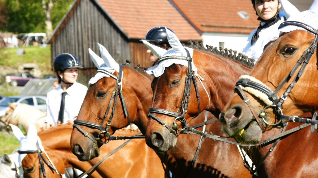 Beidl. Von 22. bis 25. Mai 2026 feiert die Feuerwehr ihr 125. Jubiläum. Höhepunkt ist der Leonhardiritt am Pfingstmontag, 25. Mai, mit Feldgottesdienst und Segen für Pferde und Reiter.