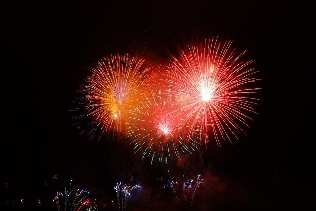 Weiden. Eine vorgezogene Silvesterfeier am 1. Weihnachtsfeiertag endete für eine Weidenerin (31) mit zwei Anzeigen.  Wie die Polizei Weiden mitteilte, zündete eine alkoholisierte Frau gegen 19:45 Uhr vor ihrem Haus [&hellip;]
