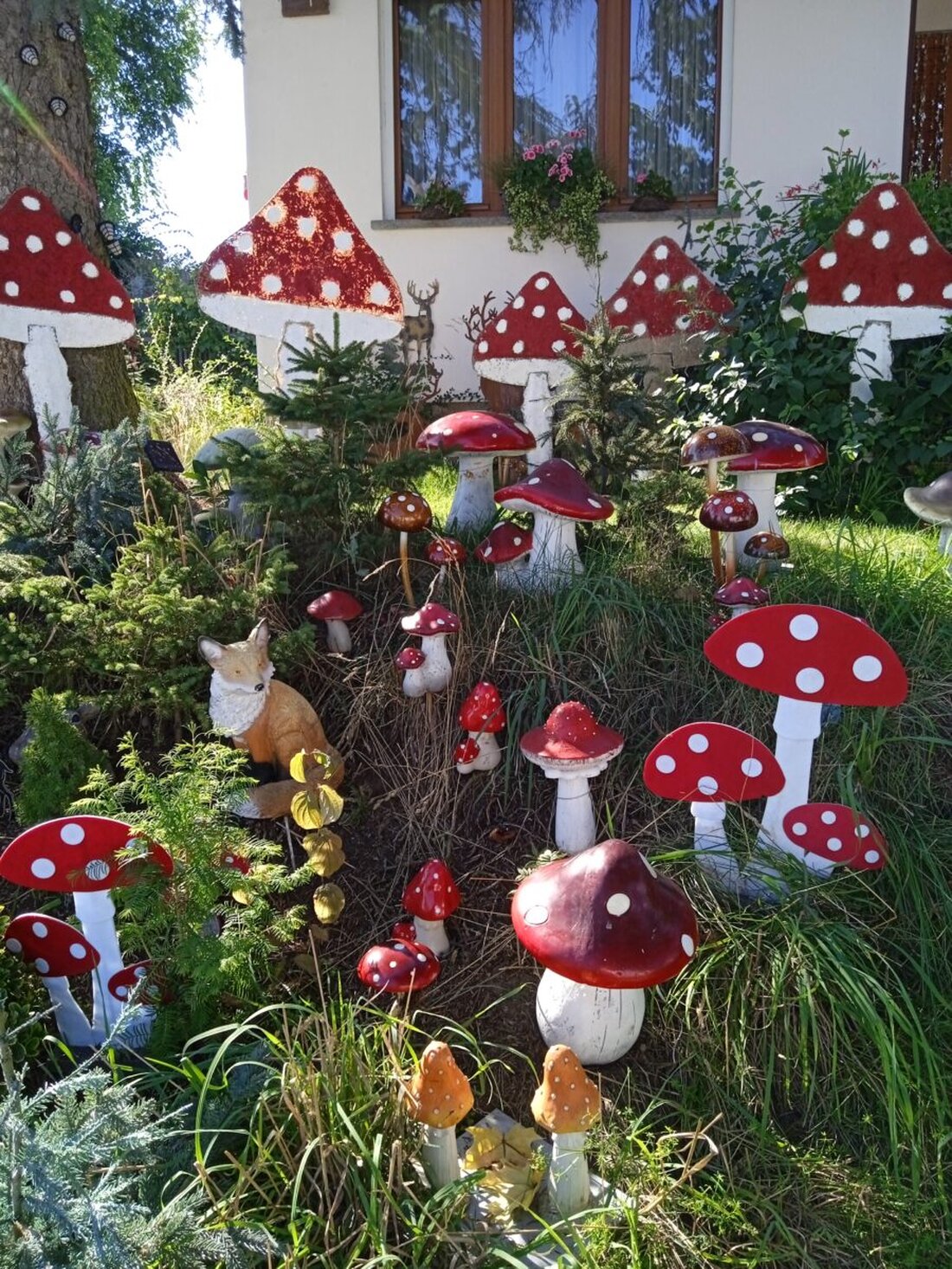 Eine regelrechte Invasion von Fliegenpilzen bevölkert derzeit wieder das elterliche Anwesen von Christina Kreuzer in Floß, Am Hohen Baum. So ein märchenhafter Garten lebt nicht nur von der Gestaltung mit Beeten, Blumen, Sträuchern und Bäumen, sondern vor allem die dekorativen Elemente haben einen entscheidenden Einfluss darauf, wie der Garten auf Besitzerin, Besucher und Zaungäste wirkt.