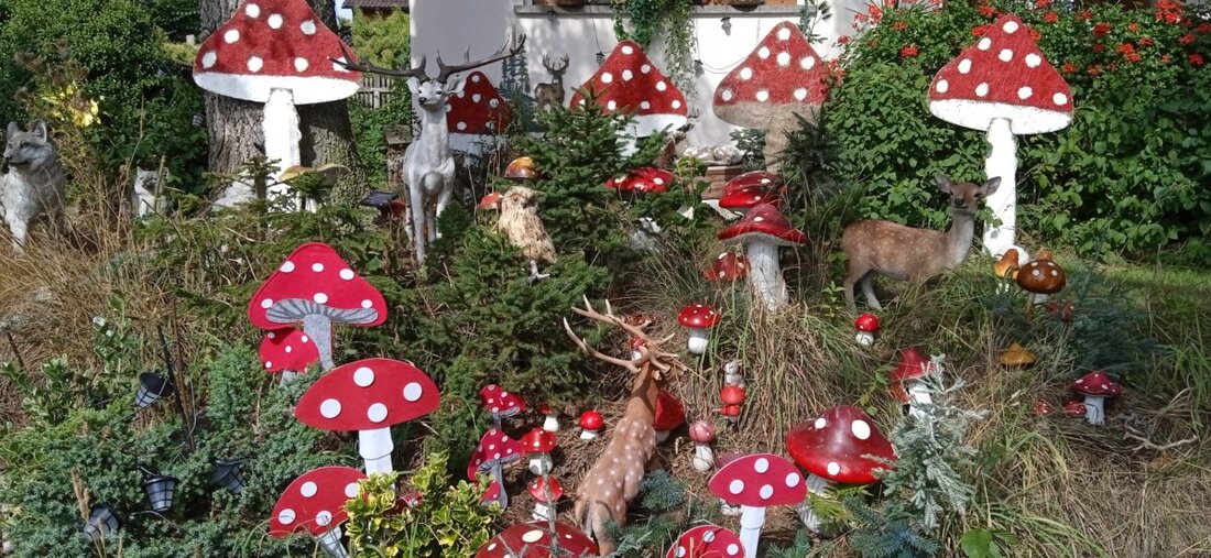 Floß. Leuchtendrote Deko-Fliegenpilze erobern den Garten von Christina Kreuzer Am Hohen Baum: Einige ragen bis 120 cm auf und ziehen Kinder wie Erwachsene an. Der Fliegenpilz wurde 2022 zum Pilz des Jahres gewählt.