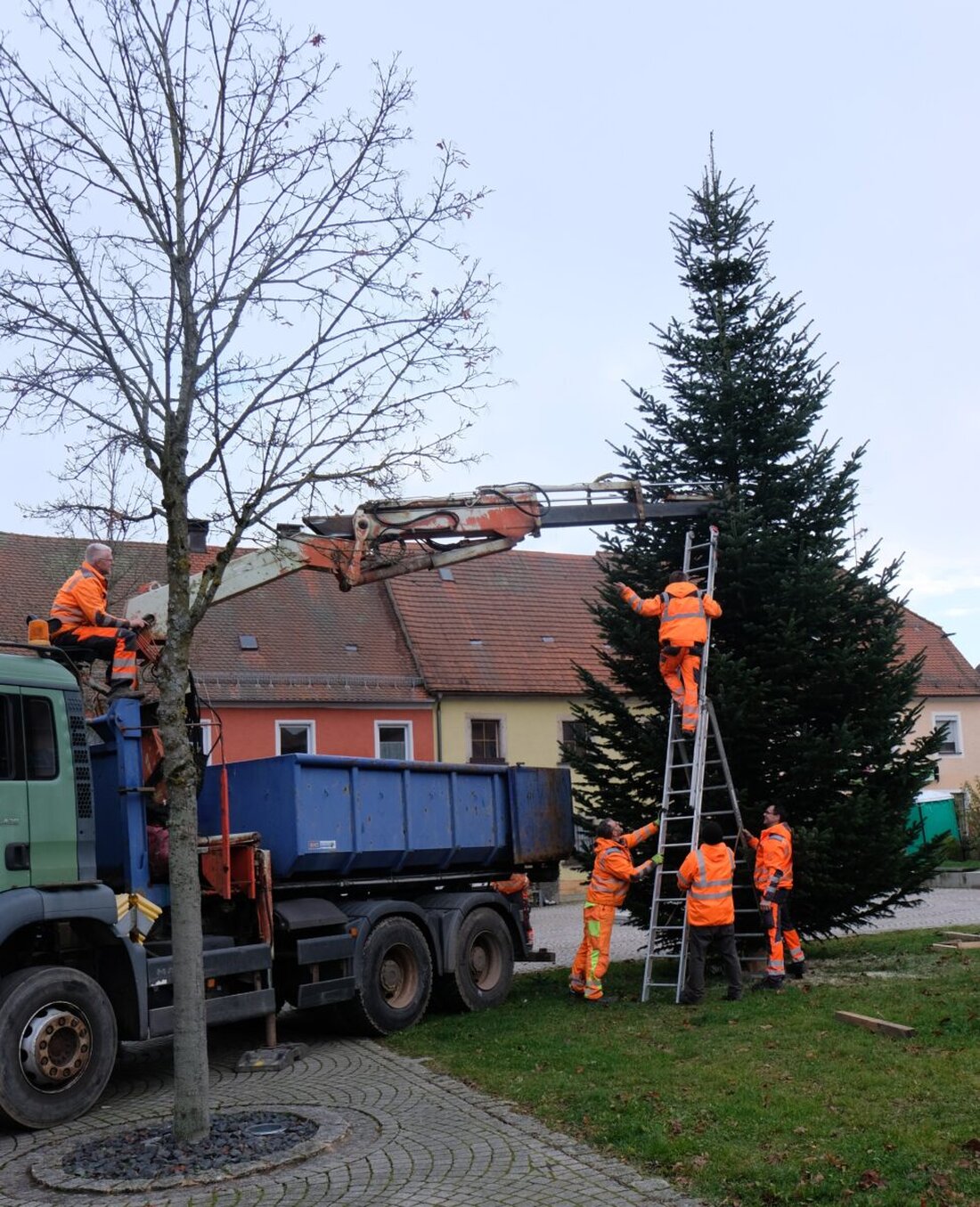 Floß. Ein prächtiger Christbaum ziert seit dem 29. November das Marktzentrum, gespendet aus Altenhammer, begleitet von einem Festprogramm mit Musik und Verkaufsständen.