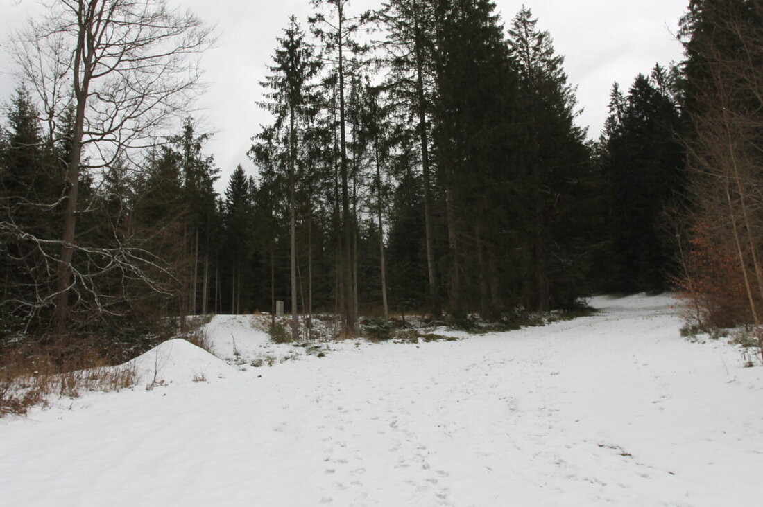 Flossenbürg. Der Gemeinderat behandelte zahlreiche Themen, einschließlich der Abweisung einer Baumrodung und Pläne für einen Mountainbike-Trail. Weitere Beschlüsse beinhalteten die Finanzierung von Wanderwegbeschilderungen und den Breitbandausbau.