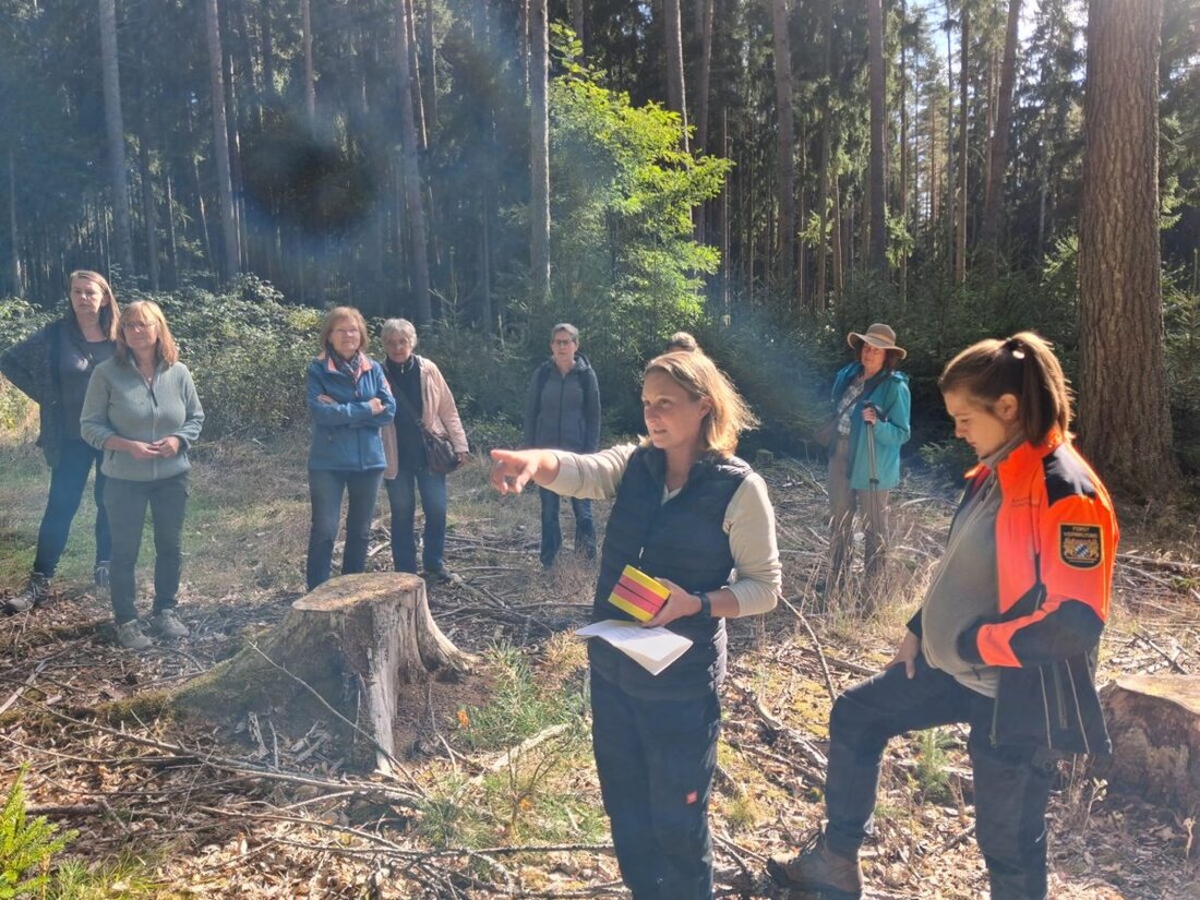 Mitterteich. Beim Waldfrauentag 2.0 trafen sich rund 25 Frauen und vier Kinder am Sterzer Rundweg, um mit Försterinnen des AELF praxisnah zu lernen, wie sie klimastabile, artenreiche Zukunftswälder gestalten.