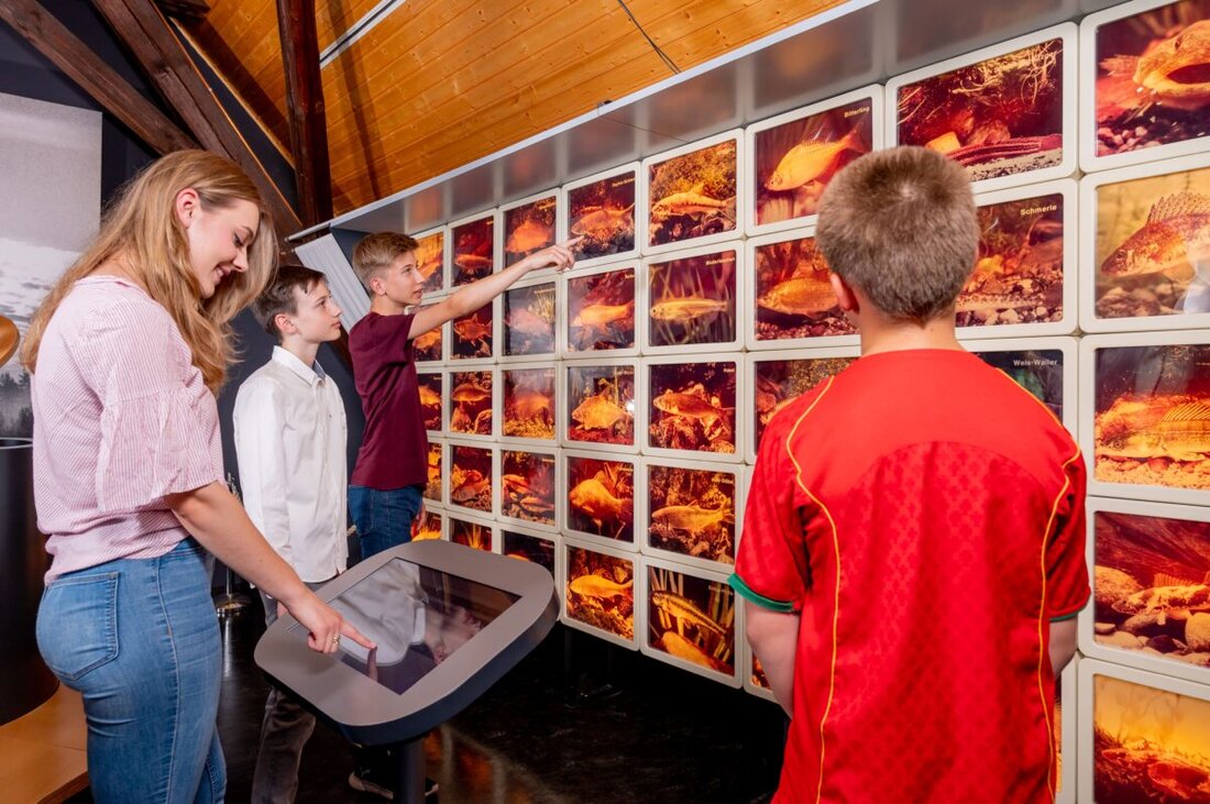 Tirschenreuth. Wegen des Abbaus der Rizzi-Ausstellung sind am Dienstag, 4. August, und Mittwoch, 5. August, Bereiche des MuseumsQuartiers gesperrt. Fischereimuseum und Haus am Teich öffnen von elf bis 17 Uhr bei freiem Eintritt.