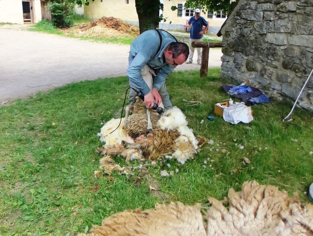 Neusath-Perschen. Nicht nur sieben auf einen Streich – sondern gleich 13 Bildungseinrichtungen aus der gesamten Oberpfalz und dazu das Bayerische Umweltministerium stellen sich am 5. Juni beim Familientag im Oberpfälzer [&hellip;]