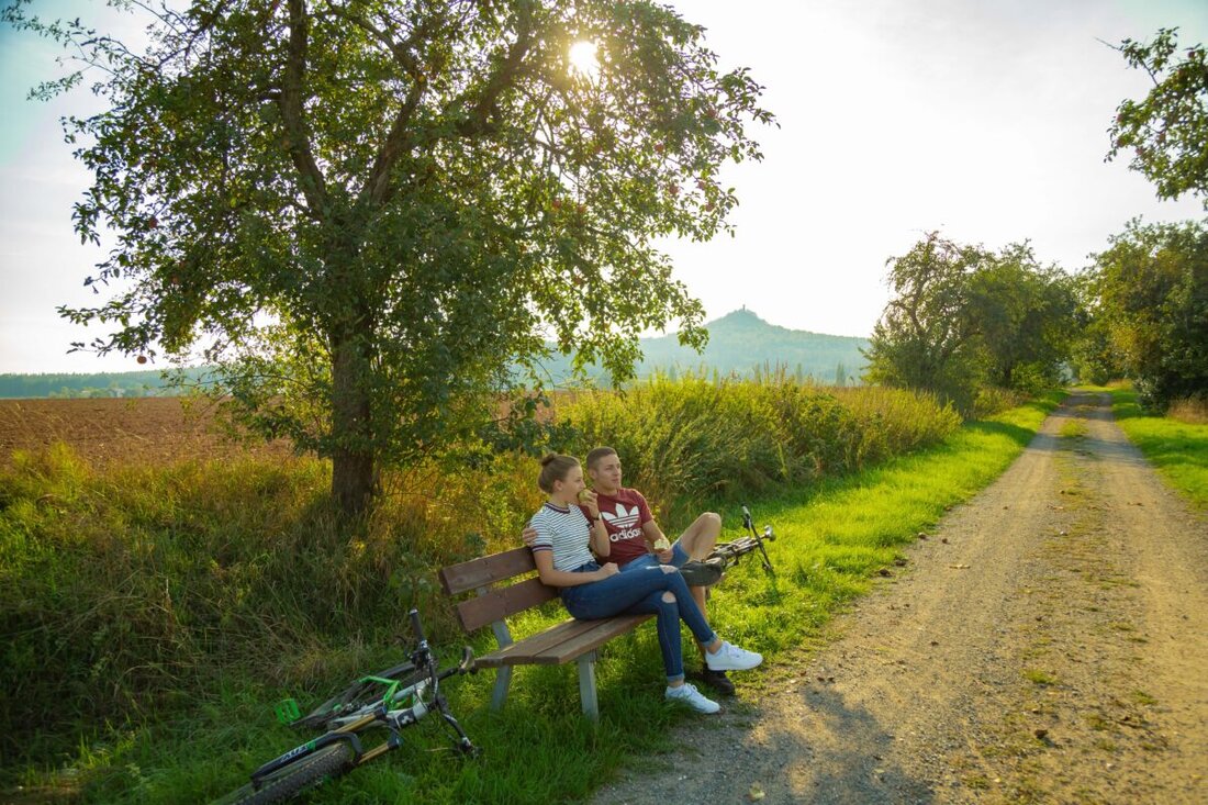 Kastl. Die Gemeinde sucht freiwillige Helfer, um 15 neue Apfelbäume entlang der "Apfelbaum-Allee" als Ersatz für über 80 Jahre alte Bäume zu pflanzen.