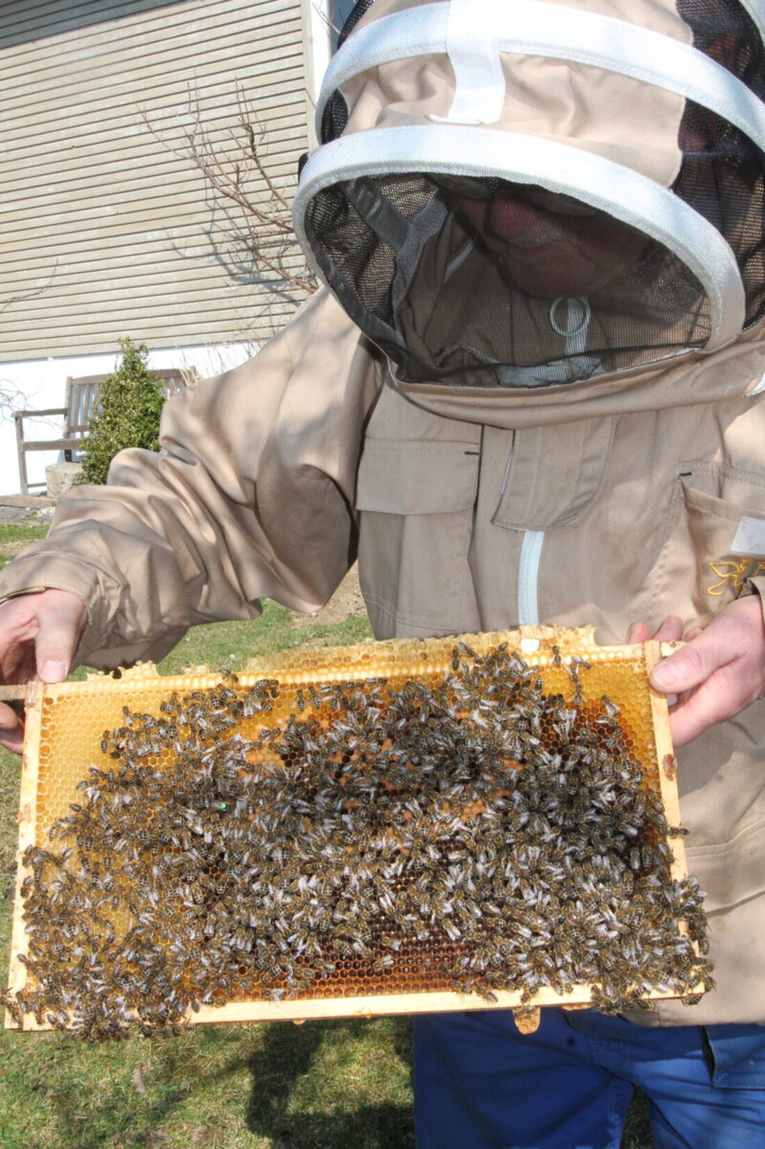 Neukirchen zu St. Christoph/Waidhaus. Im Frühling unterstützen Imker die Bienenvölker mit Futter und neuen Waben, um die Population zu erweitern und die Gesundheit sicherzustellen.