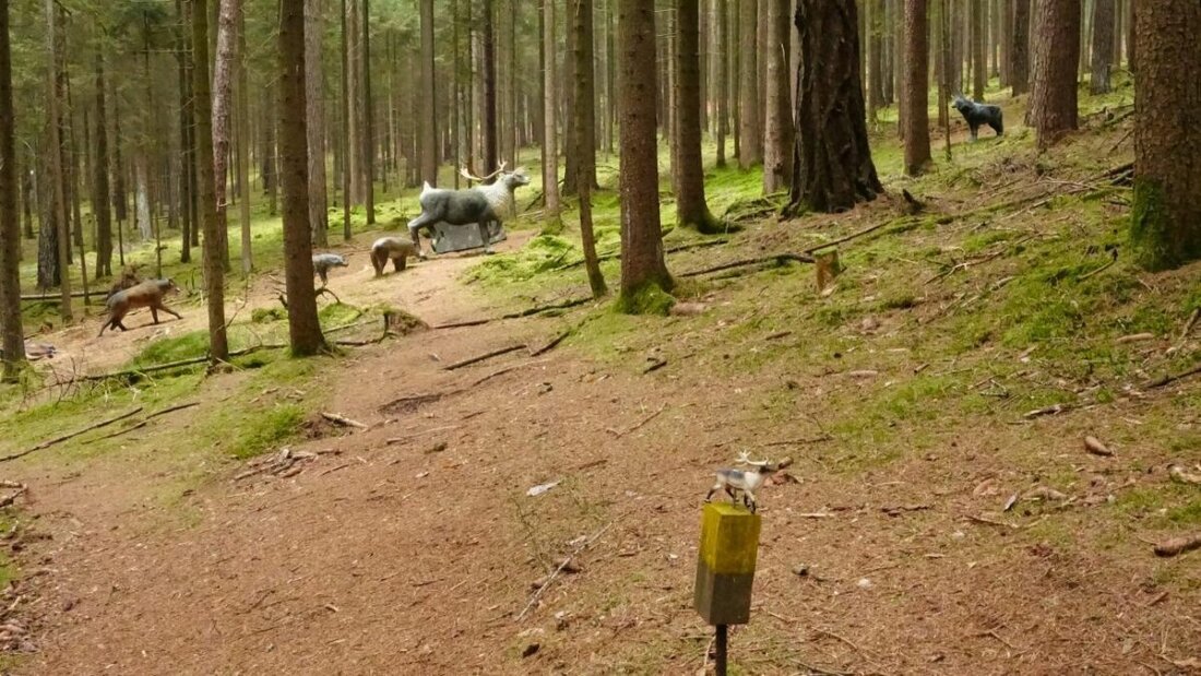 Flossenbürg. Die Gemeinde nimmt die Neubeschilderung der Wanderwege in Angriff und plant die Errichtung eines Bogenparks bei der Freizeitanlage Gaisweiher bis September. Die Anschaffung von 15 iPads für die Schule kostet etwa 7.450 Euro, neue Wasser- und Abwassergebühren sind ab 1. Juli zu erwarten.
