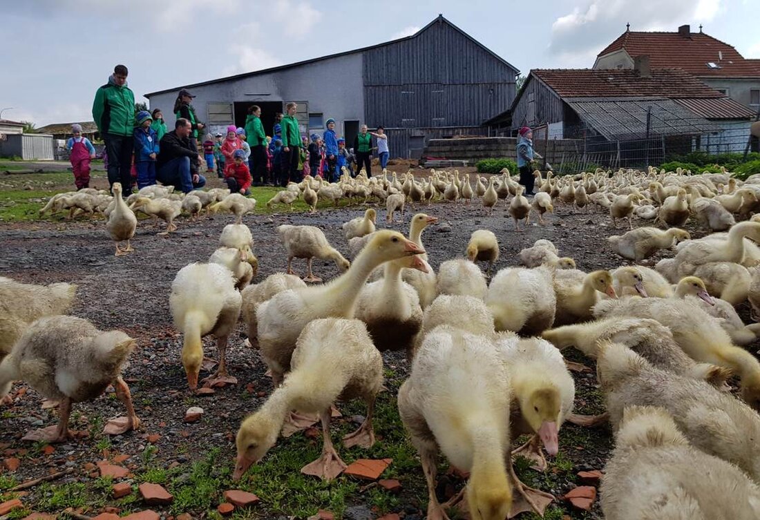 Weiden/Eschenbach. Erlebnis- und Lerntage gehören zum festen Jahresplan der LearningCampus-Waldkindergärten – zum Beispiel beim Programm “Vom Korn zum Brot”. Bei der Gänsmühle in Zessau haben die Kinder viel über Blumen, [&hellip;]