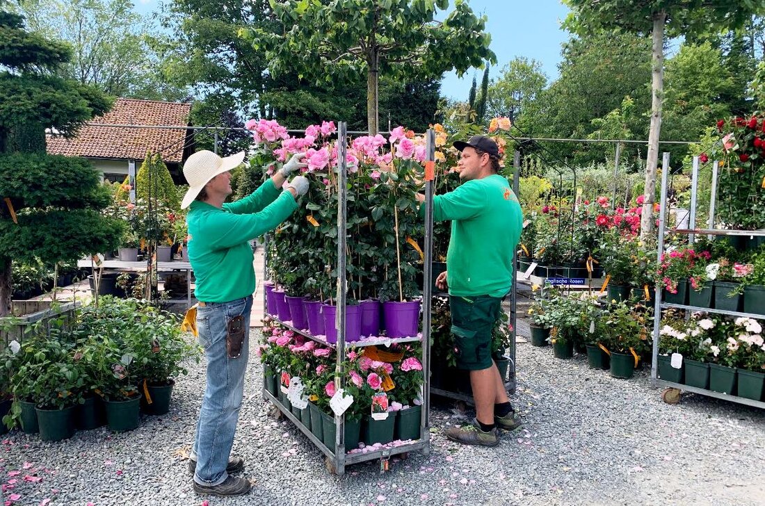 [Advertorial] Kirchendemenreuth. Viele Oberpfälzer verbringen ihren Sommer wegen Corona in diesem Jahr lieber zu Hause, als an überfüllten Stränden in Italien. Damit der Urlaub im eigenen Garten zu einem ganz [&hellip;]