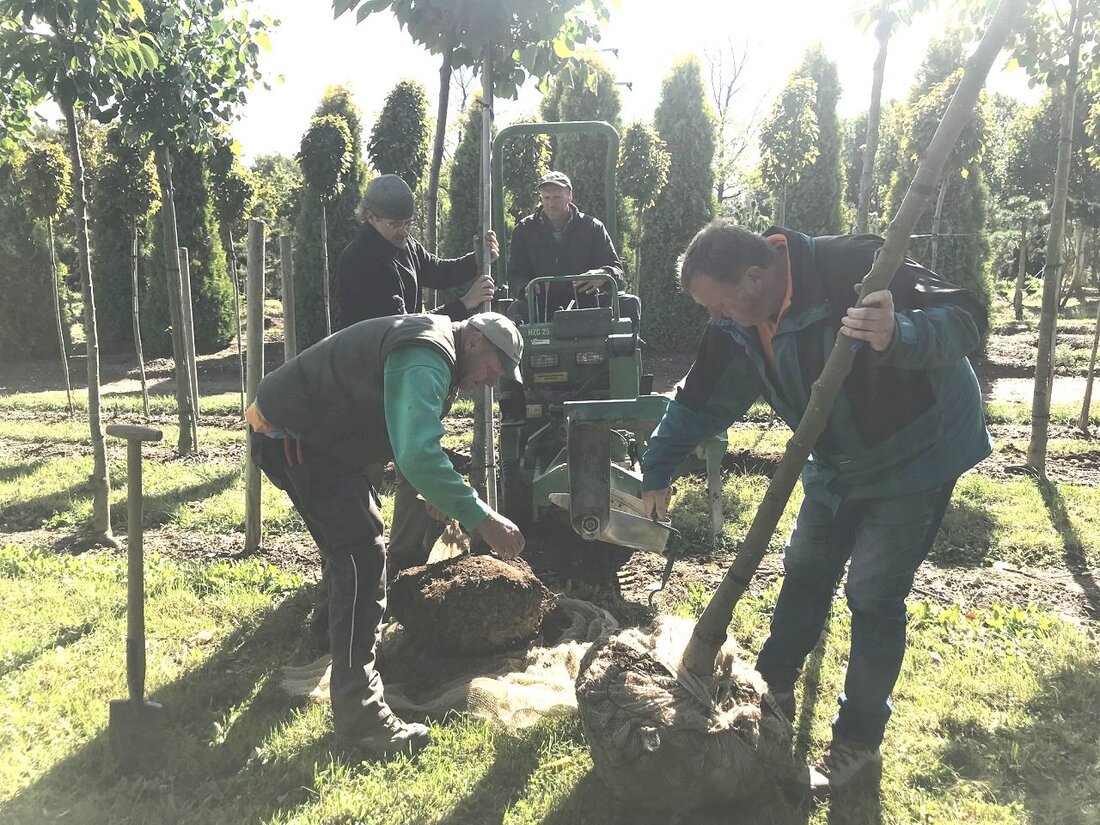 [Advertorial] Kirchendemenreuth. Langsam aber sicher geht der Sommer dem Ende zu. Und auch an einigen Bäumen kann man bereits erkennen, dass der Herbst nicht mehr weit ist. Gerade dann ist [&hellip;]