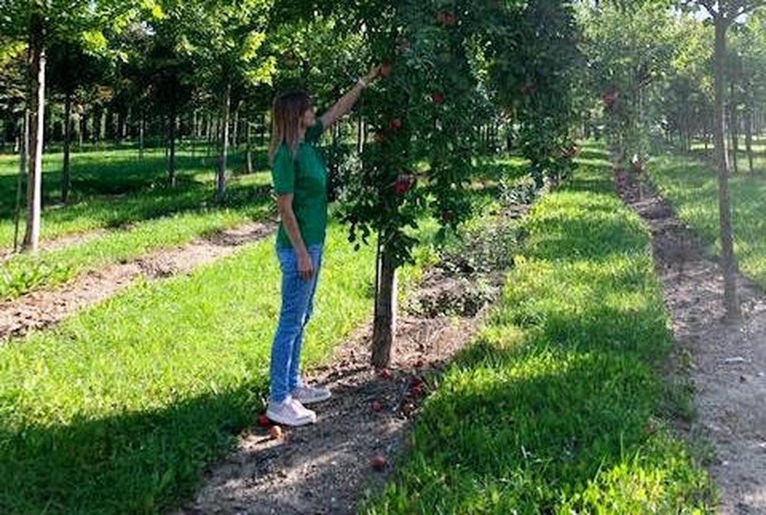 [Advertorial] Kirchendemenreuth. Nicht nur wegen Corona geht der Trend in den nordoberpfälzer Gärten aktuell hin zum Selbstversorger. Besonders beliebt sind dabei vor allem Obstbäume. Peter Punzmann von Garten Punzmann erklärt, [&hellip;]