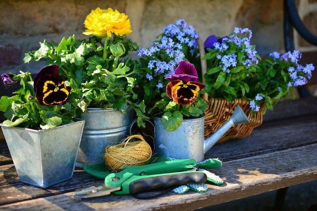 Eschenbach. Die Stadt ruft alle Garten- und Blumenfreunde zum Blumenschmuckwettbewerb auf. Anmeldung bis Freitag, 3. Juli 2026, per Telefon oder E-Mail; jeder Teilnehmer erhält einen kleinen Preis.