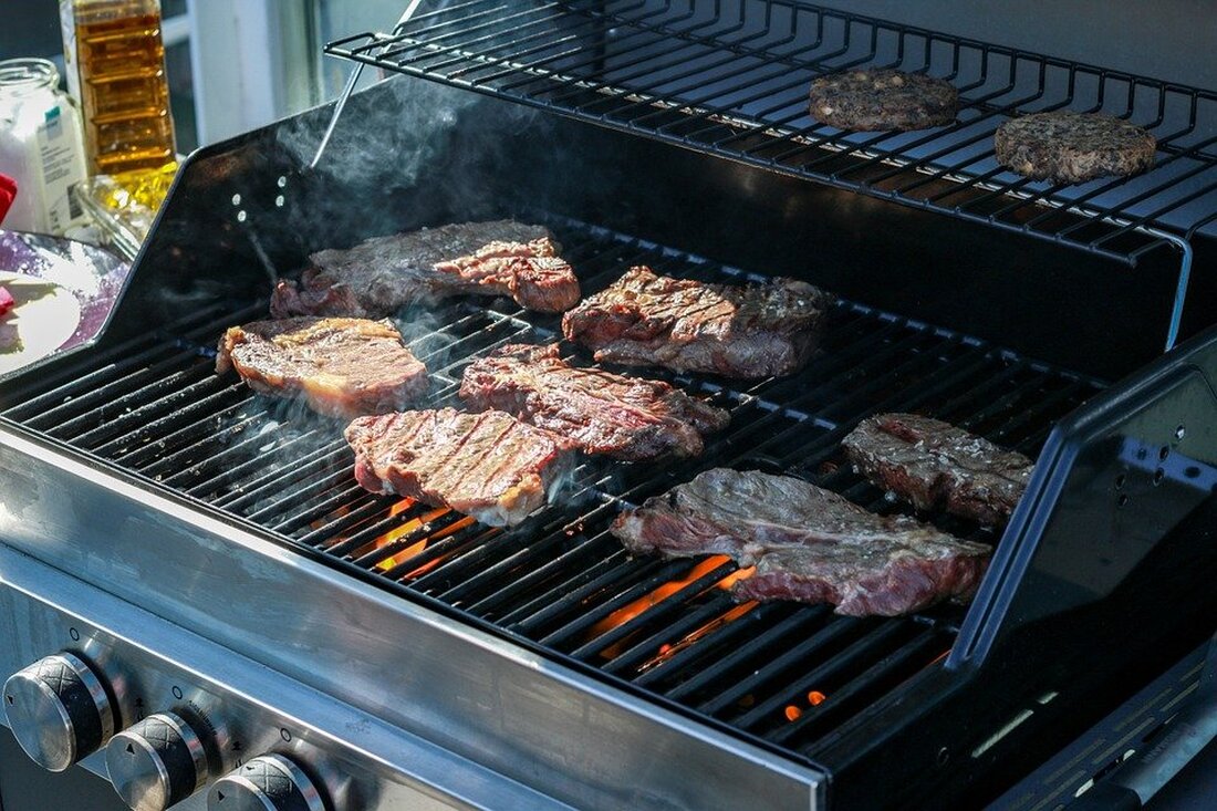 Oberpfalz. Grillen ist Sommerliebe – doch jedes Jahr passieren rund 4.000 Unfälle. Experten geben Tipps zu Sicherheit, Brandschutz, Gasflaschen und Rücksichtnahme – damit der Grillspaß nicht in Streit oder Bußgelder endet.