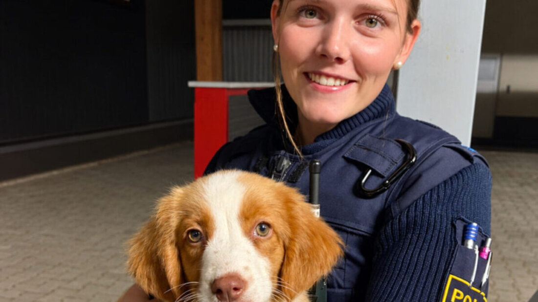 Neunburg vorm Wald. Eine Frau fand in ihrem Garten einen gechippten, aber nicht registrierten Welpen, der wohlauf ist und ins Tierheim Schwandorf gebracht wurde. Besitzer melden sich bitte unter 09672/9202-0.
