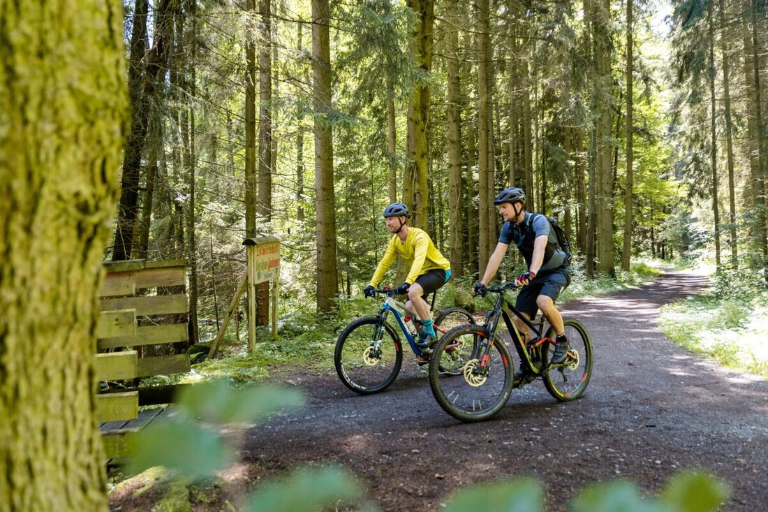 Nordoberpfalz. Am Sonntag, 13. September 2026, feiert das Genuss-Radeln am Steinwald-Radweg Premiere. An sieben Stationen warten regionale Schmankerl, die Stempelkarte kostet 25 Euro und einzelne Kostproben für je fünf Euro.