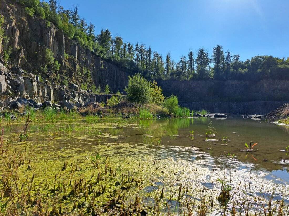 Vohenstrauß. Am 31. Oktober 2026 lädt die IKom Stiftland mit dem Naturparkland Oberpfälzer Wald zur ersten kostenfreien Busexkursion von 9 Uhr bis 17 Uhr ein, im Rahmen von Aller.Land zu geologischen Schätzen des Stiftlands.