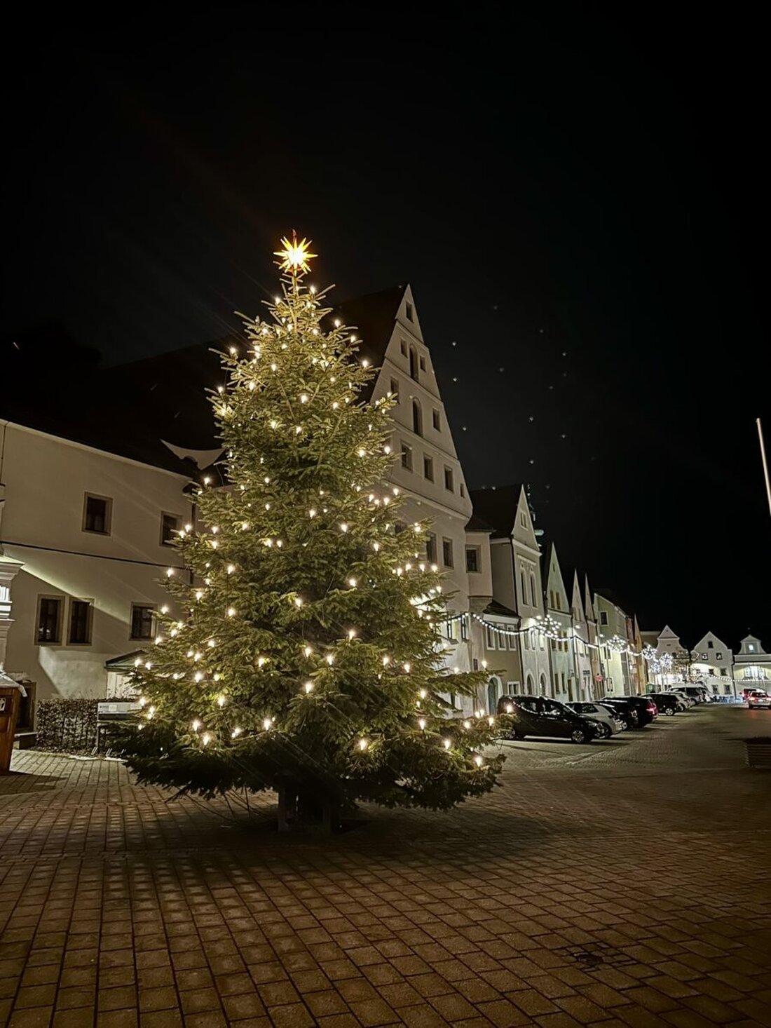 Neustadt/WN. Vor dem Landratsamt strahlt ein festlich geschmückter Christbaum. Die Stadt dankt der Familie Bräutigam für die Spende, die in der Adventszeit für Stimmung, Begegnungen und Besinnlichkeit sorgt.