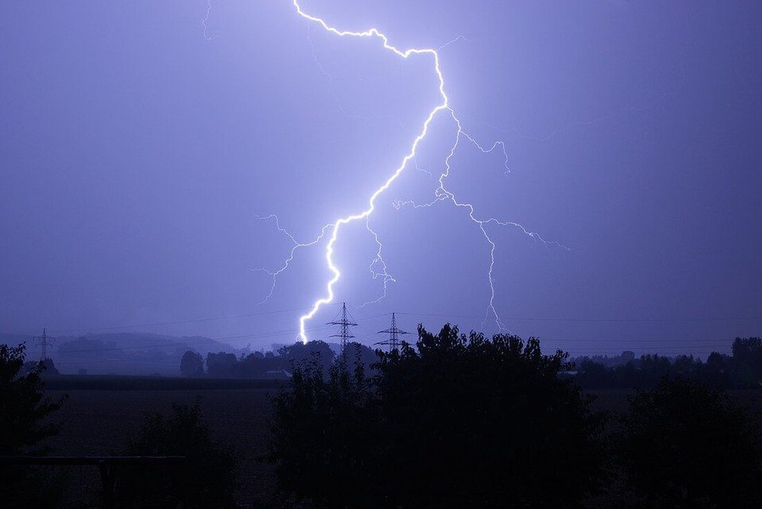 Teublitz. Nach einem Gewitter stürzten im Wildpark Höllohe Bäume auf geparkte Autos, mindestens zwei sind beschädigt. Der Hauptzugang ist gesperrt, vom Besuch wird wegen Gefahr derzeit abgeraten.