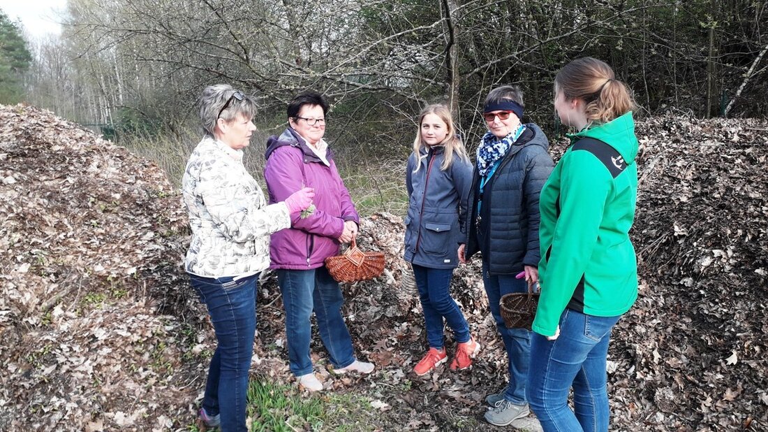Grafenwöhr. Unter Leitung von Gisela Klier, zertifizierte Kräuterfachrau, erkundeten die Teilnehmer der Kräuterwanderung das Gelände rund um den Annaberg in Grafenwöhr und sammelten Kräuter zum Kochen. Kräuter aus der Natur [&hellip;]