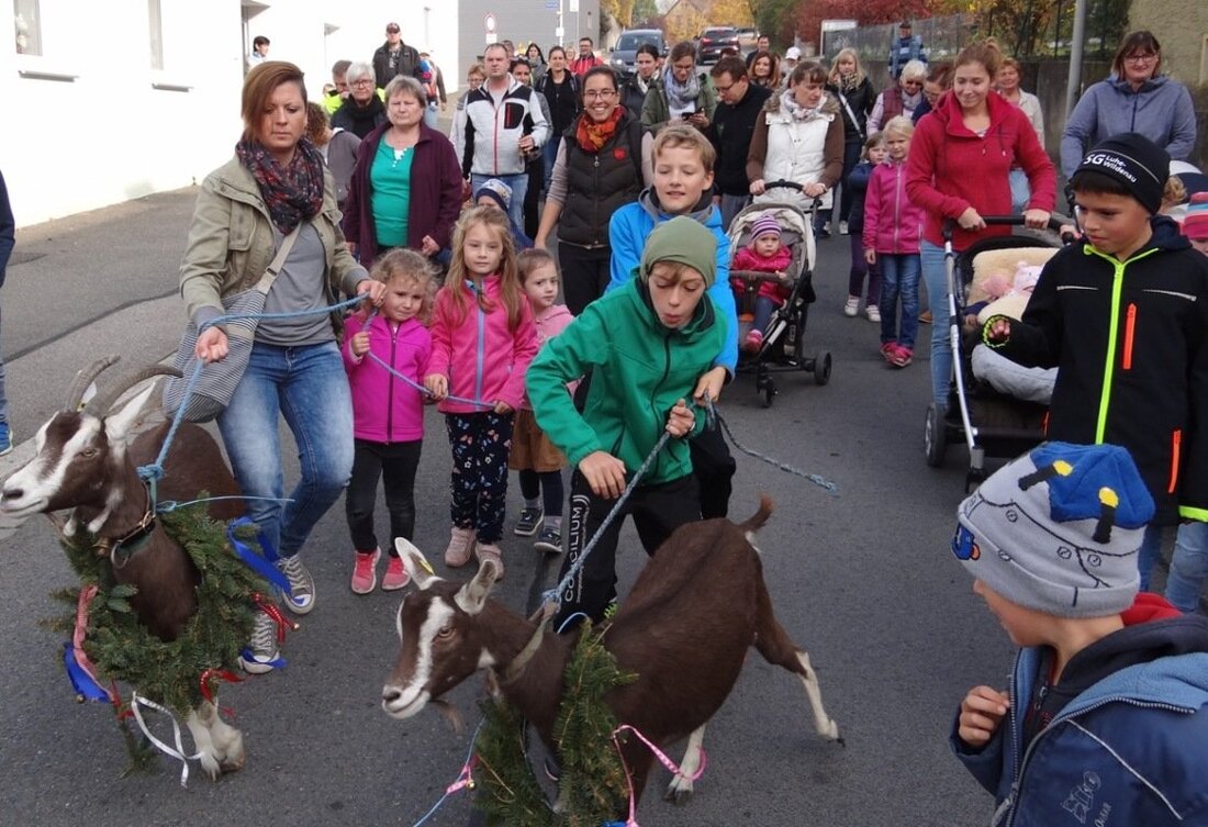 Luhe-Wildenau. Wenn die Ziegen durch’s Dorf ziehen, dann sind natürlich auch viele Schaulustige mit von der Partie. Der zweite “Luher Goaßabtrieb” begeisterte nicht nur mit dem Marsch durch Luhe, sondern [&hellip;]