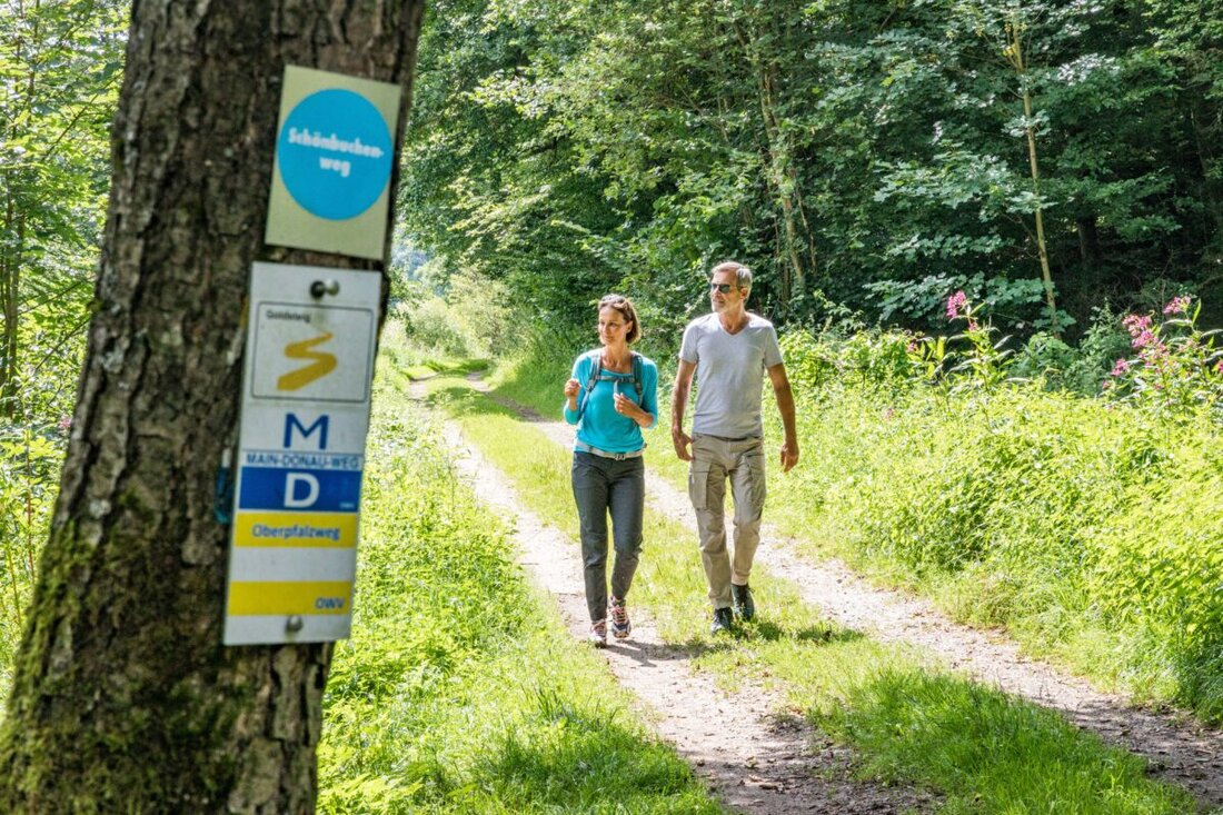 Nabburg. Der Goldsteig und der Wildes-Wasser-Weg stehen bei der Publikumswahl zu Deutschlands schönstem Wanderweg 2026 in der Schlussrunde. Bis Ende Juni läuft die Abstimmung.
