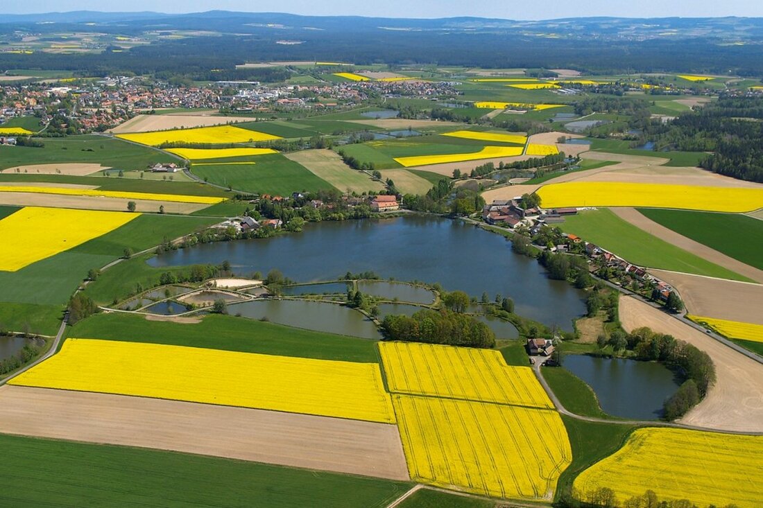 Wiesau. Die Erlebniswochen Fisch im Land der 1.000 Teiche erreichen ihren Höhepunkt: An diesem Wochenende wird das kleine Dorf Kornthan bei Wiesau zum Mittelpunkt der Fisch-Welt. Dann laden die Teichwirtsfamilien Stock [&hellip;]