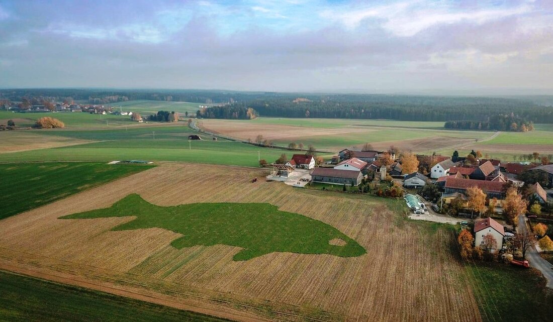 Tirschenreuth/Mitterteich. Der Landkreis Tirschenreuth – das Land der 1.000 Teiche – hat eine weitere großartige Attraktion. In Kleinsterz bei Mitterteich hat Thomas Beer, der 1. Vorsitzende der ARGE Fisch im [&hellip;]