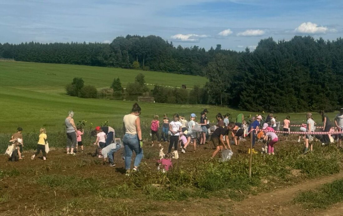Eslarn. Über 80 Kinder genossen ein Ferienprogramm mit Kartoffelgraben, Traktorfahrt und Stockbrot. Für die schwersten Kartoffeln gab es Preise, und eine Fortsetzung ist fürs nächste Jahr geplant.