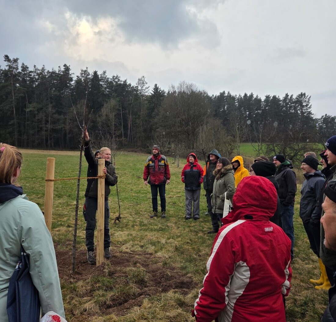 Kohlberg. Auf der Streuobstwiese bot die Siedlergemeinschaft Kohlberg-Röthenbach einen Obstschnittkurs an. Gartenbauingenieurin Hanna Häring vermittelte 25 Teilnehmenden Pflanzschnitt, Juniriss und Tipps für gesunde Obstbäume.