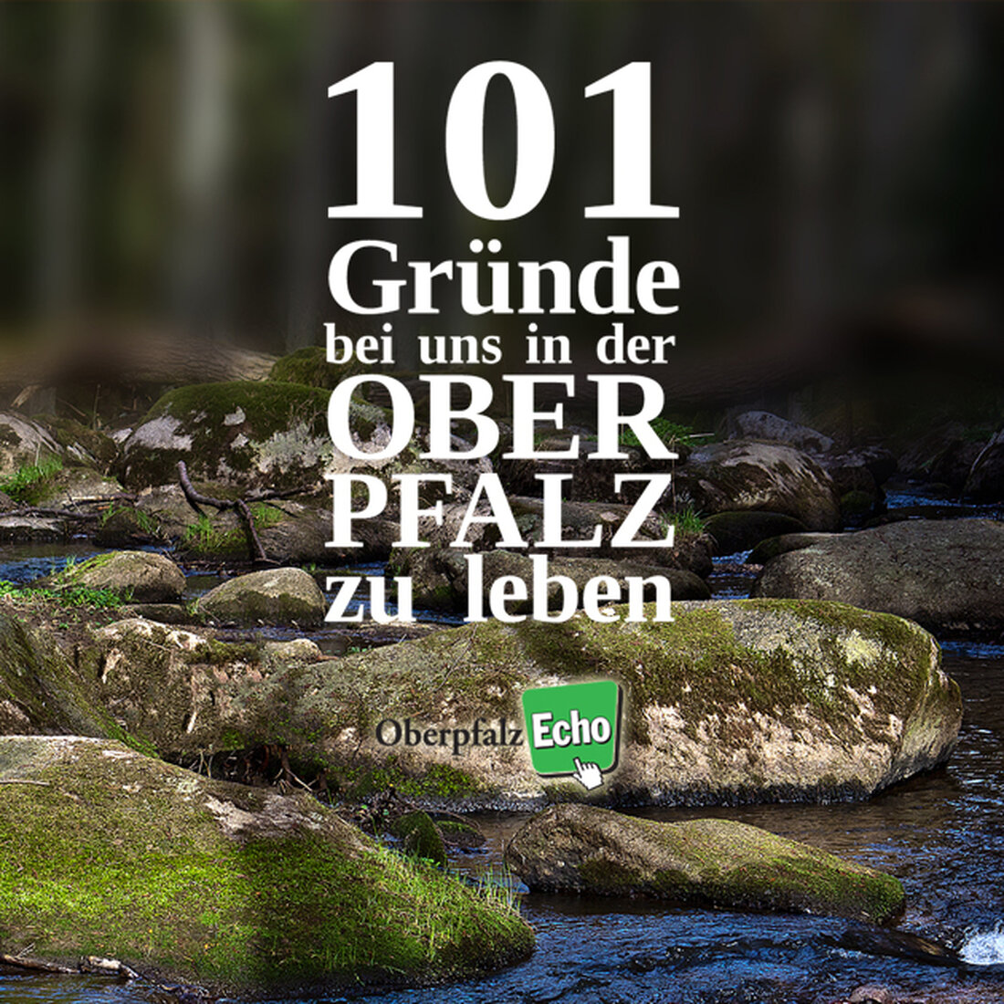 Weiden / Neustadt/WN / Tirschenreuth. Warum es hier bei uns am schönsten ist? Da fallen jedem von uns doch sicher 1.000 verschiedene Gründe ein. Ein paar haben wir in den letzten [&hellip;]