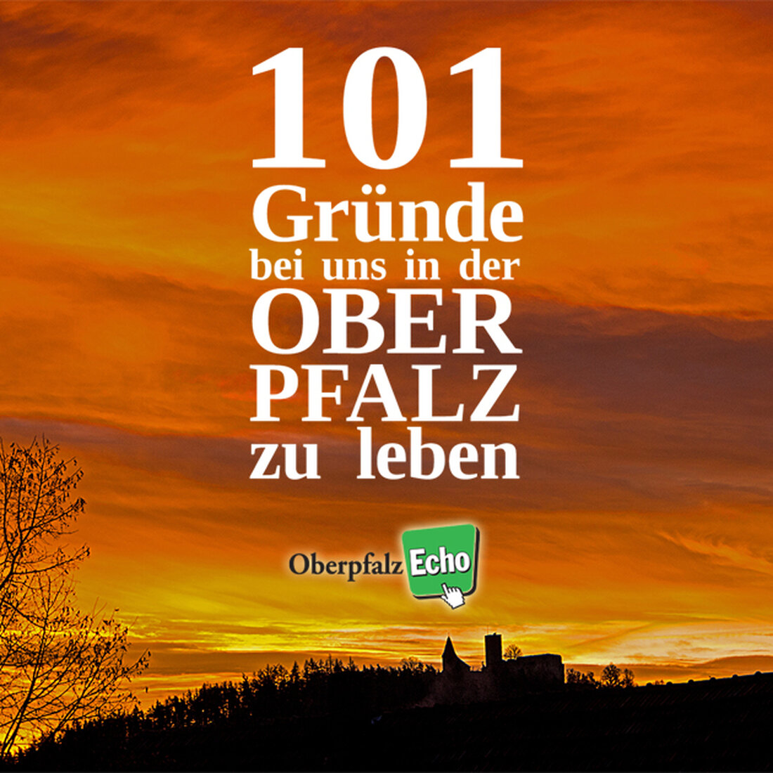 Weiden / Neustadt/WN / Tirschenreuth. Bestimmt haben Sie sich auch schon öfter mal gedacht: “Ach, eigentlich ist es bei uns doch auch ganz schön!” Und da können wir Ihnen nur [&hellip;]