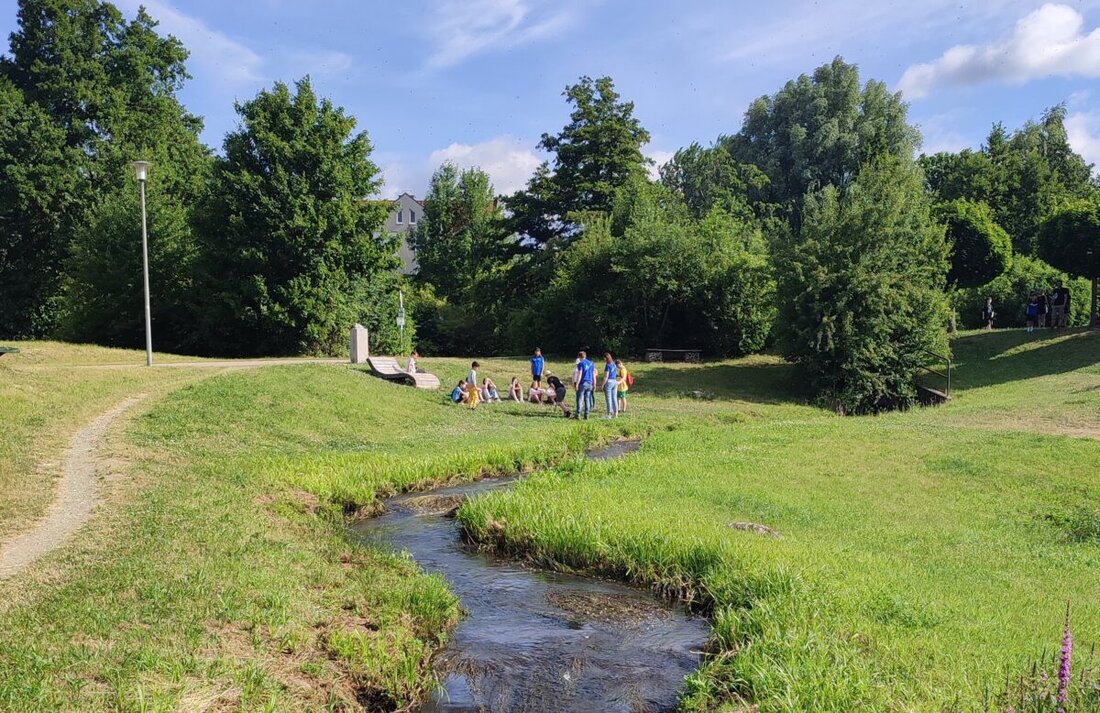 Weiden. Bei einer BayernTourNatur-Veranstaltung am Mittleren Wehr erkundeten Weidener Grundschüler die Funktionsweise von Wehren und den Hochwasserschutz und gewannen dabei Einblicke in Biodiversität.
