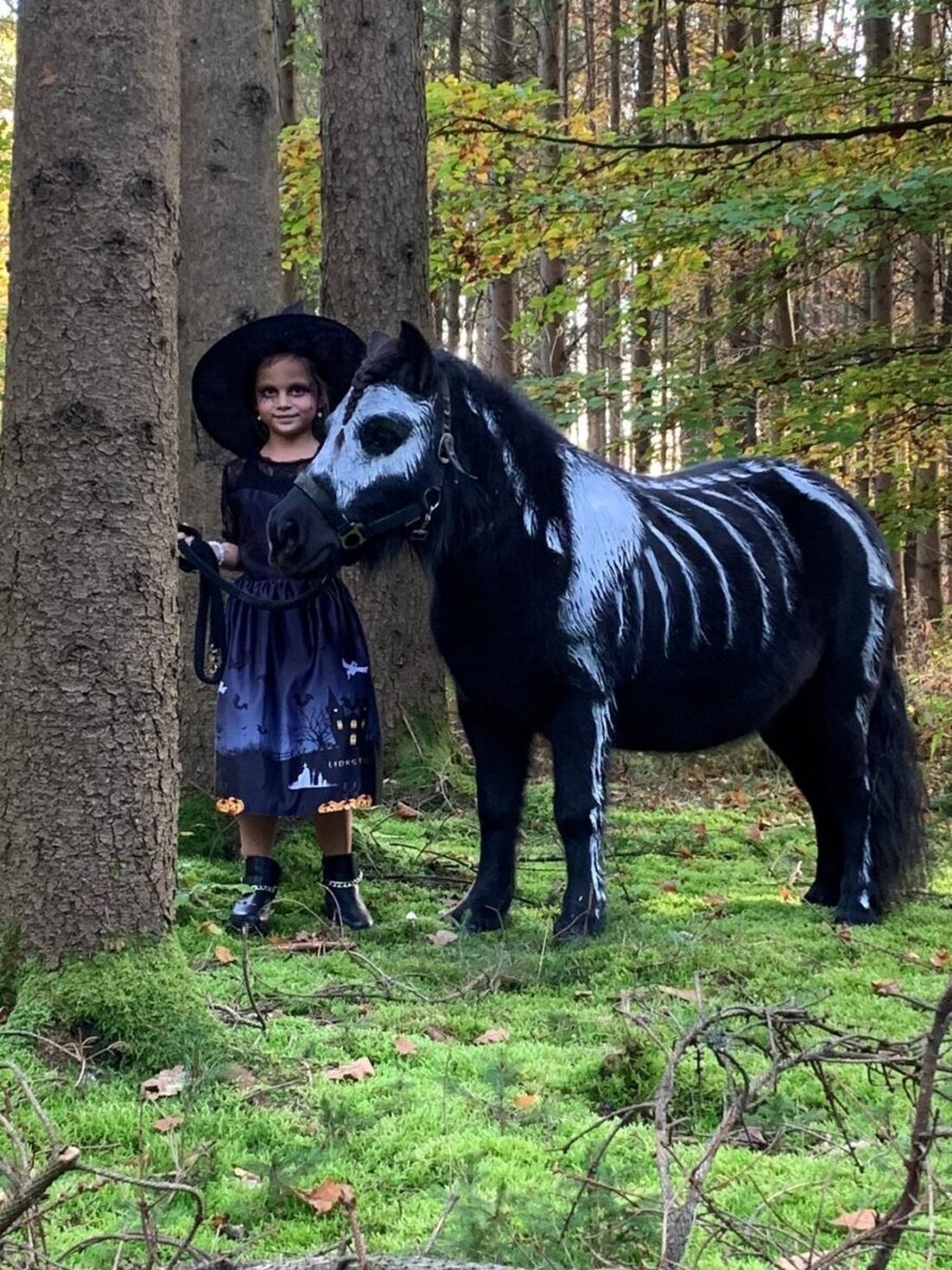 Burglengenfeld. Jugendpflegerin Ines Wollny organisiert ein Halloween-geprägtes Herbstferienprogramm für Kinder mit Kreativität und Abenteuer. Highlights sind ein Gruselspaziergang, Kürbisschnitzen und eine "Halloween Pony Party".