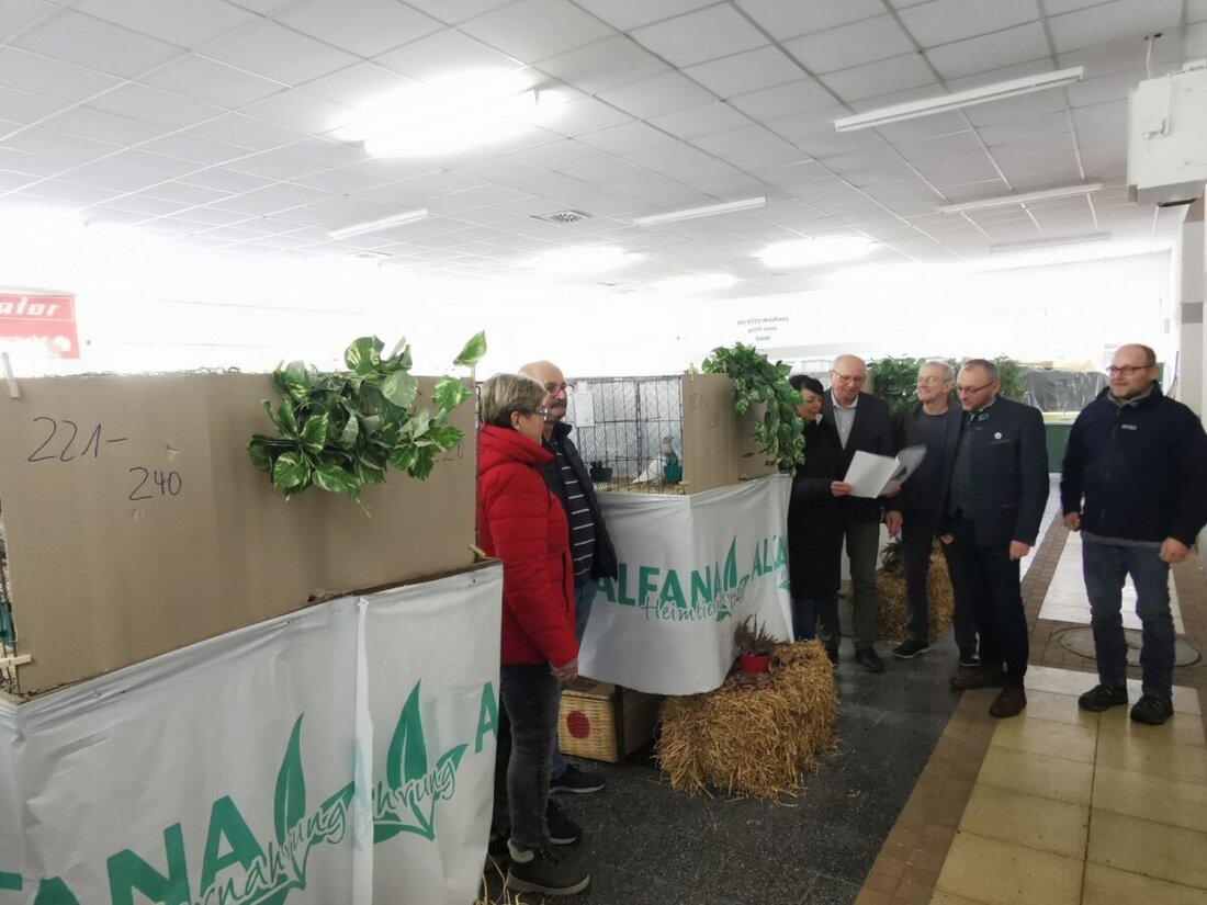 Waidhaus. 45 Aussteller präsentierten bei der 25. Hauptsonderschau in Pfrentsch 496 Show-Racer-Tauben. 