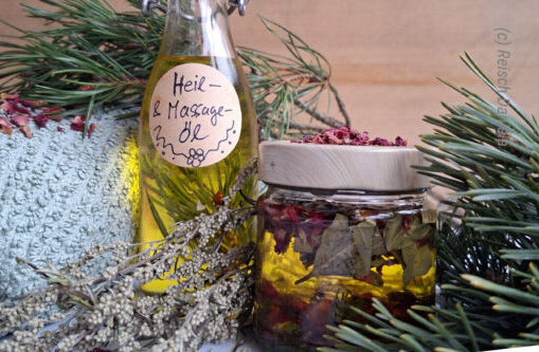 Amberg. Am Freitag, den 15. Mai 2026, lädt die KEB Amberg-Sulzbach zu einem Workshop über heilsame Pflanzenöle und ihre biblische Bedeutung ein. Mit Daniela Reisch geht es von 15 bis 17 Uhr entlang der Vils; Treffpunkt: KEB.