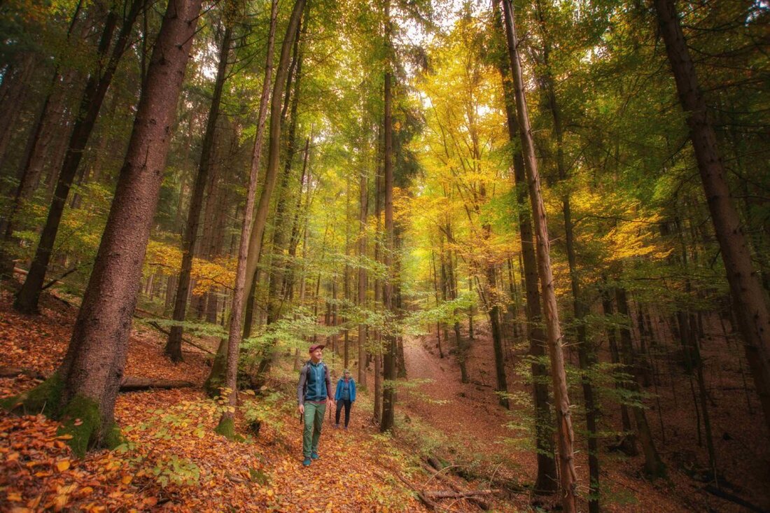 Amberg-Sulzbach. Das Amberg-Sulzbacher Land lädt vom 13. September bis 26. Oktober zur Aktion "Wandern unter weiß-blauem Himmel" mit verschiedenen Führungen und Wanderungen ein. Teilnahme ist teils kostenfrei und erfordert meist Voranmeldung; alle Details sind in einem Flyer und online verfügbar.