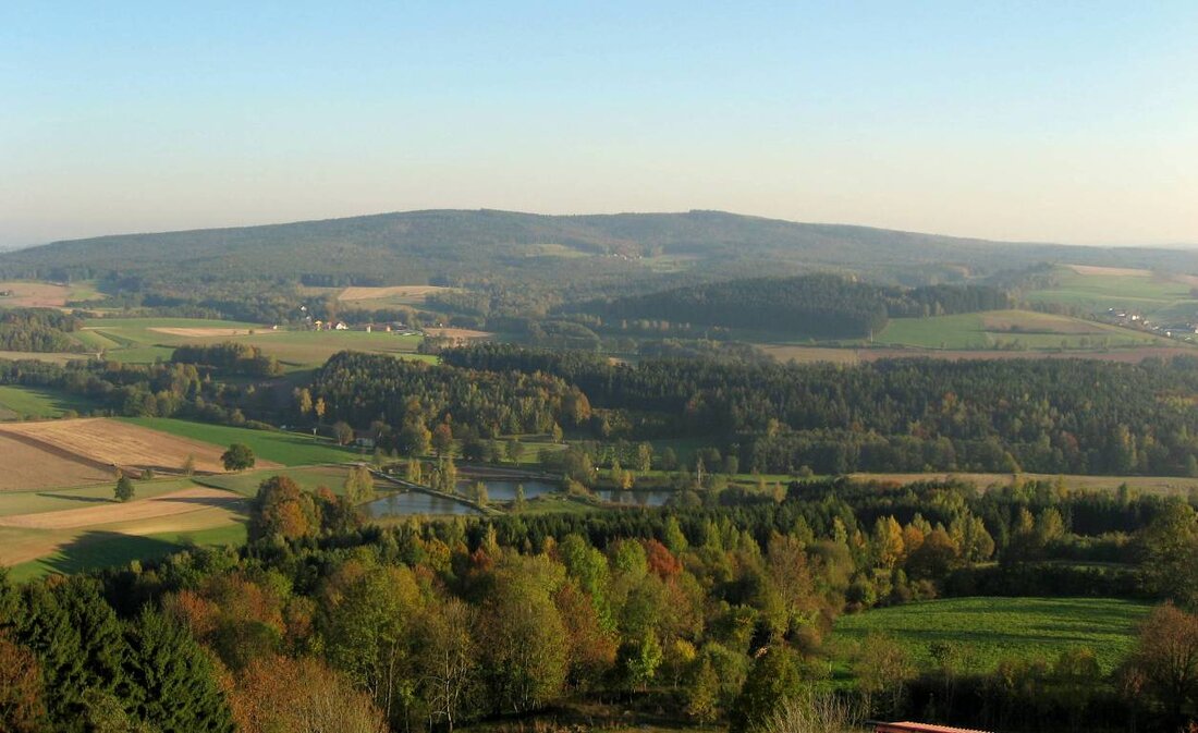 Erbendorf. Der Hessenreuther Wald ist eines der letzten unzerschnittenen und großen Waldgebiete der Oberpfalz. Hier startete der Verein für Landschaftspflege und Artenschutz (VLAB) vor drei Jahren ein mittlerweile bundesweit beachtetes Wiederansiedlungsprojekt [&hellip;]
