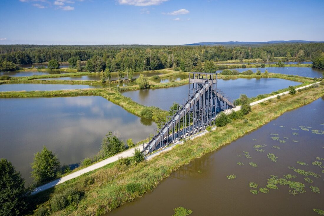 Tirschenreuth/Berlin. Der Landkreis Tirschenreuth erhält 1,5 Millionen Euro vom Bund für das Projekt "Lebensraum Goldene Straße", welches den gesellschaftlichen Zusammenhalt stärken soll. Das Geld fließt in kulturelle, künstlerische Projekte und die Förderung der Demokratie vor Ort.