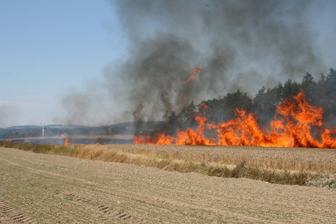 Tirschenreuth/Neustadt/WN/Weiden. Trockene Vegetation und hohe Temperaturen: Bei den aktuellen Witterungsverhältnissen genügt bereits eine fahrlässig weggeworfene, glimmende Zigarette, um die Natur in Brand zu setzen. Die Feuerwehr rät zur Vorsicht.  Von Roland [&hellip;]