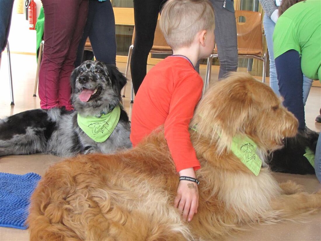 Tirschenreuth. „Tierisch gut drauf“ waren die 12 Teilnehmer beim zweitägigen Workshop „Kind und Hund in Aktion“ der Kommunalen Jugendarbeit der in der Aula und dem Garten der Lebenshilfe in Mitterteich [&hellip;]