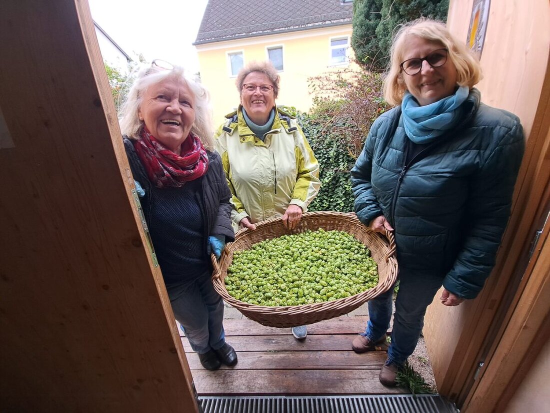 Eschenbach. Heimatverein und Kommunbier-Verein brauen neues Grünhopfenbier, das Ende Oktober genussreif ist und am 9. November verkostet werden kann.