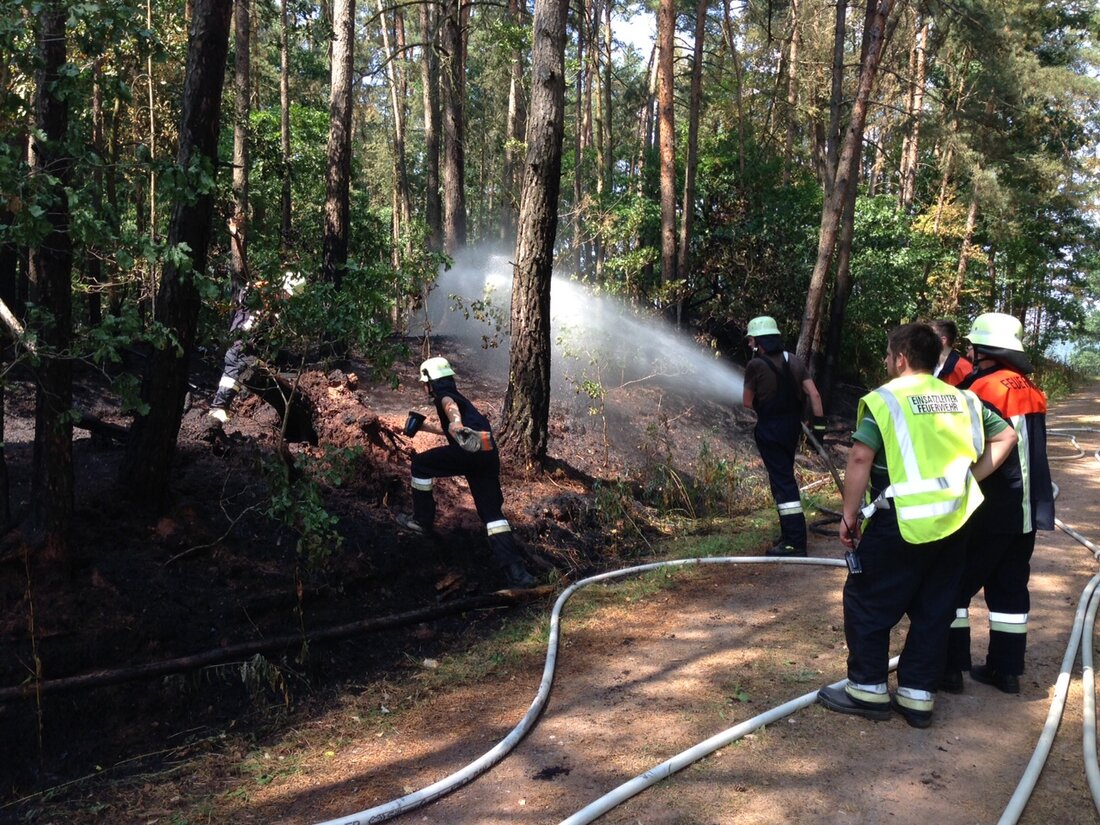 Pressath. In einem Waldstück zwischen Parkstein und Pressath hat es heute gegen 13 Uhr gebrannt.  Rund 200 Quadratmeter Wald standen in Flammen. Die fast 50 Mann der Feuerwehr hatten den [&hellip;]