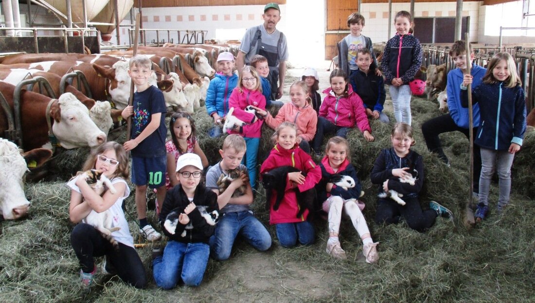 Püchersreuth/Rotzendorf. Passend zum HSU-Thema „Nutztiere“ der 2. Klasse besuchte die Kombiklasse 2/3 mit ihrer Lehrerin Barbara Förster den Erlebnisbauernhof der Familie Stangl in Rotzendorf. Von Tom Kreuzer Im Kuhstall und [&hellip;]